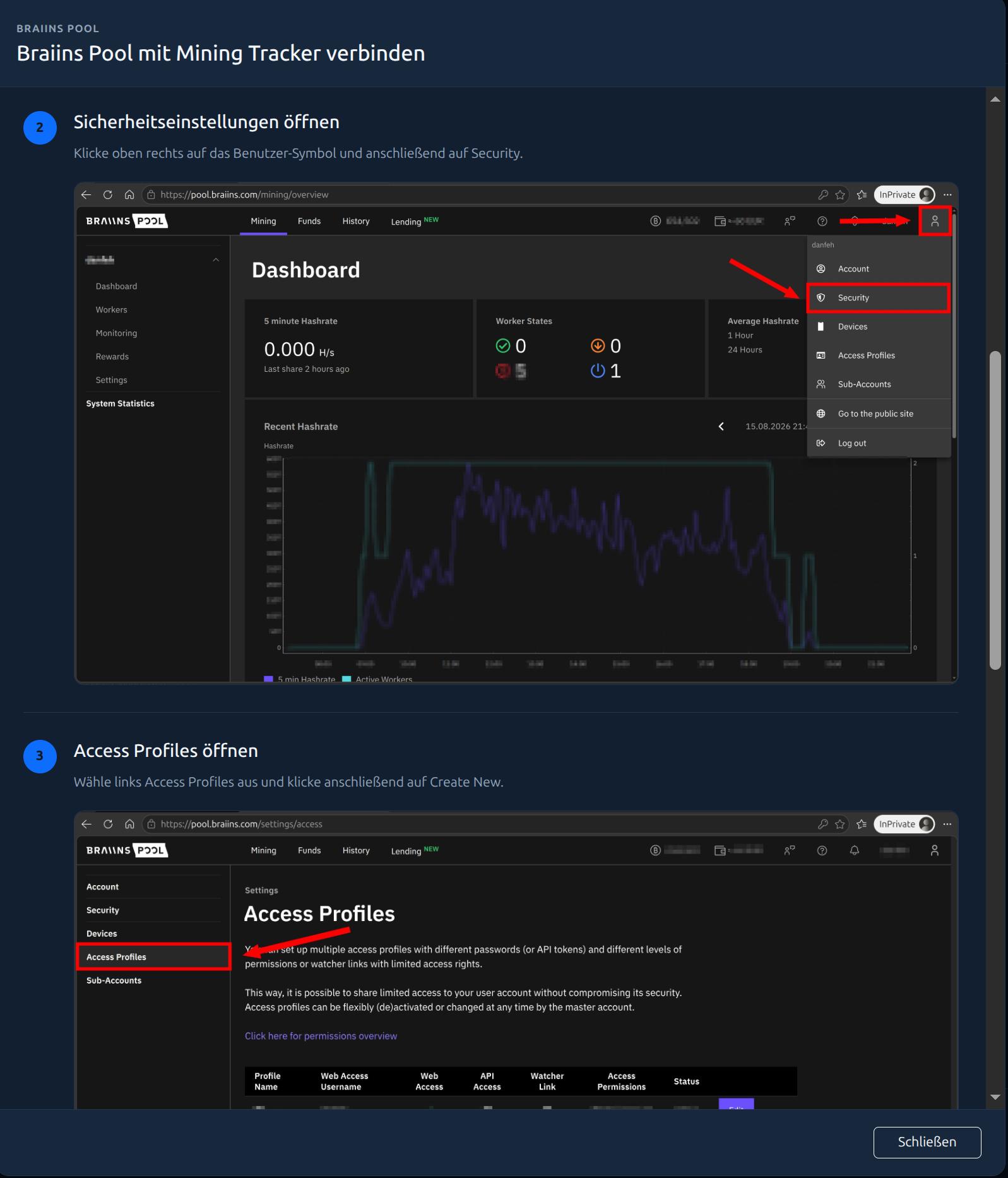 Schritt-für-Schritt-Anleitung für Braiins Pool mit Screenshots